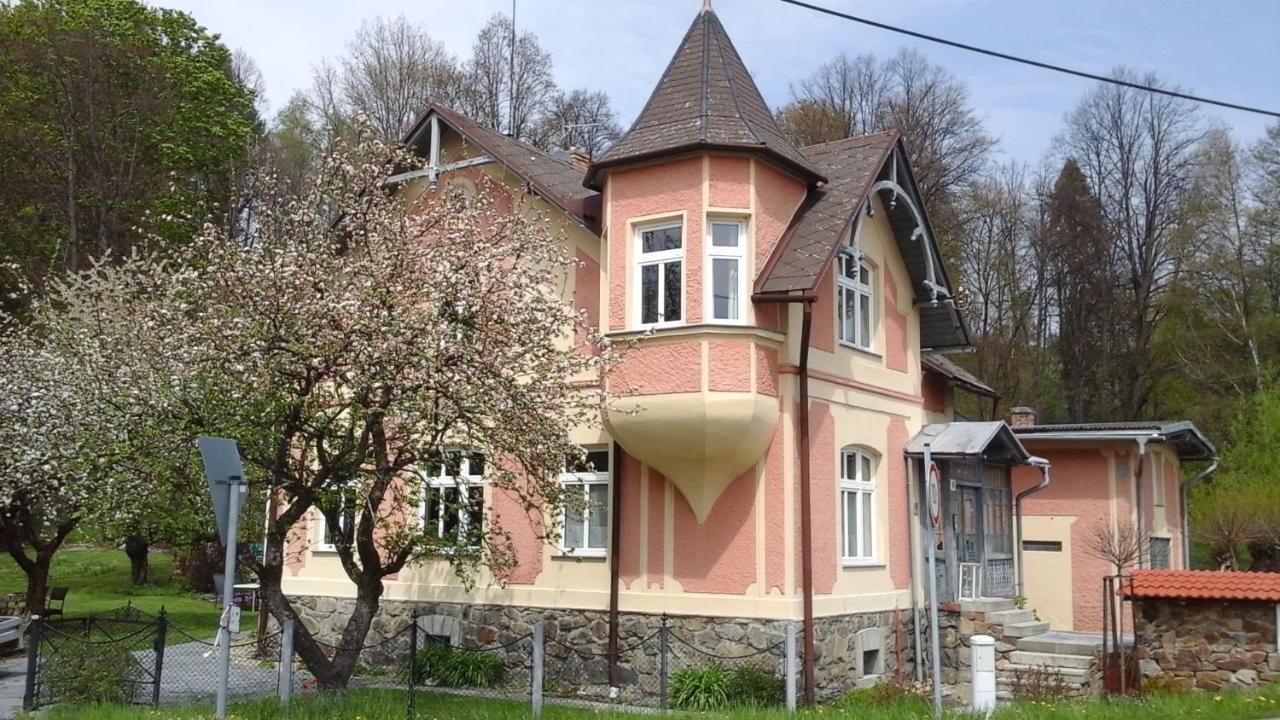 Magnolie Apartment Lipova Lazne